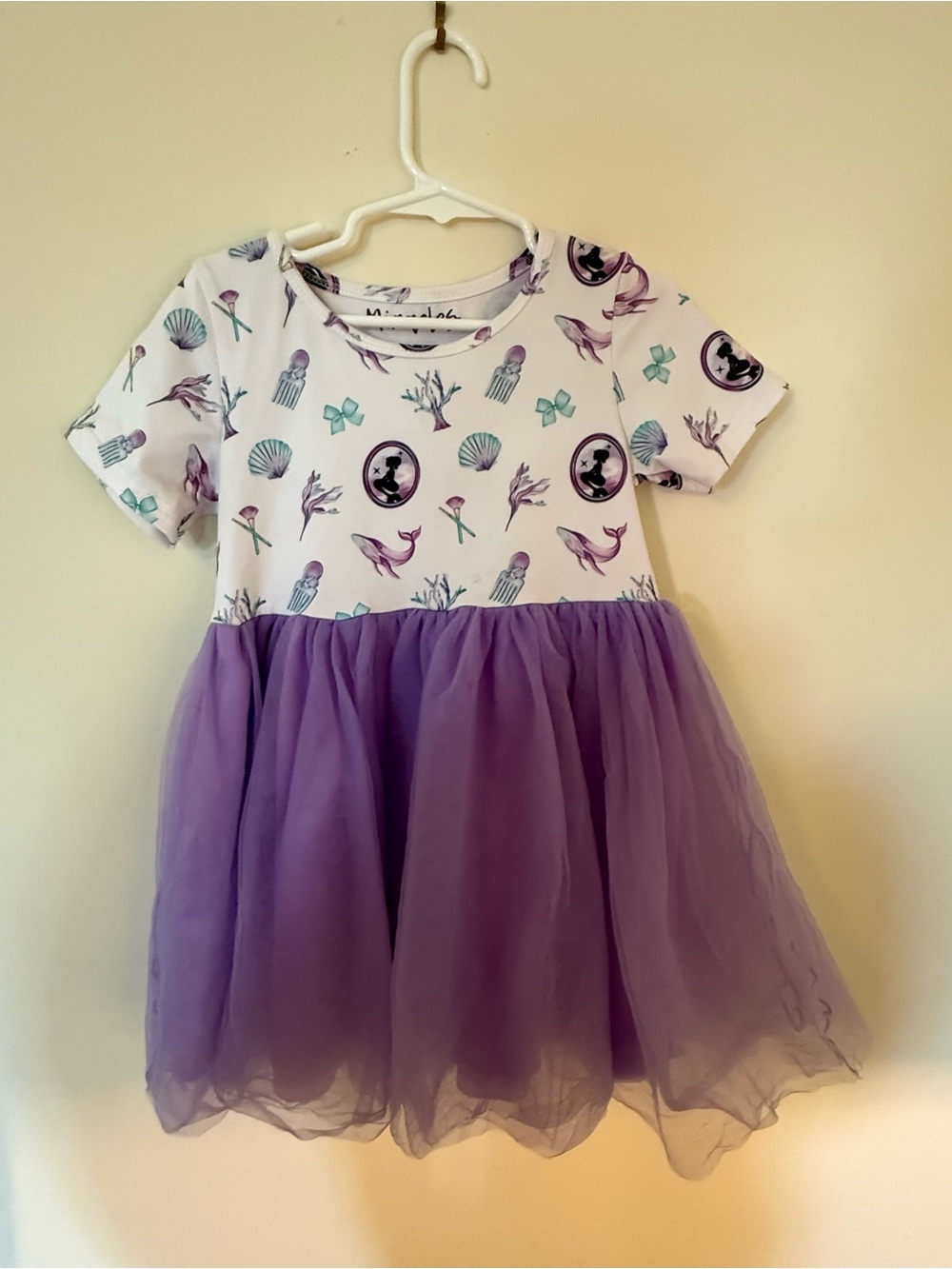 Princess Dresses size 5/6